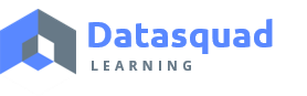 datasquad.in